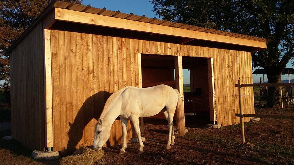 Retraite chevaux - Ecurie de la Dev&egrave;ze (12)