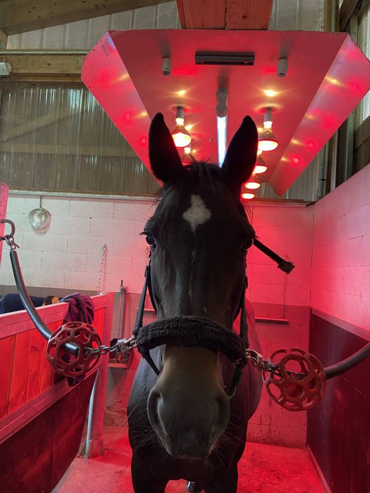 Rejoignez notre équipe !