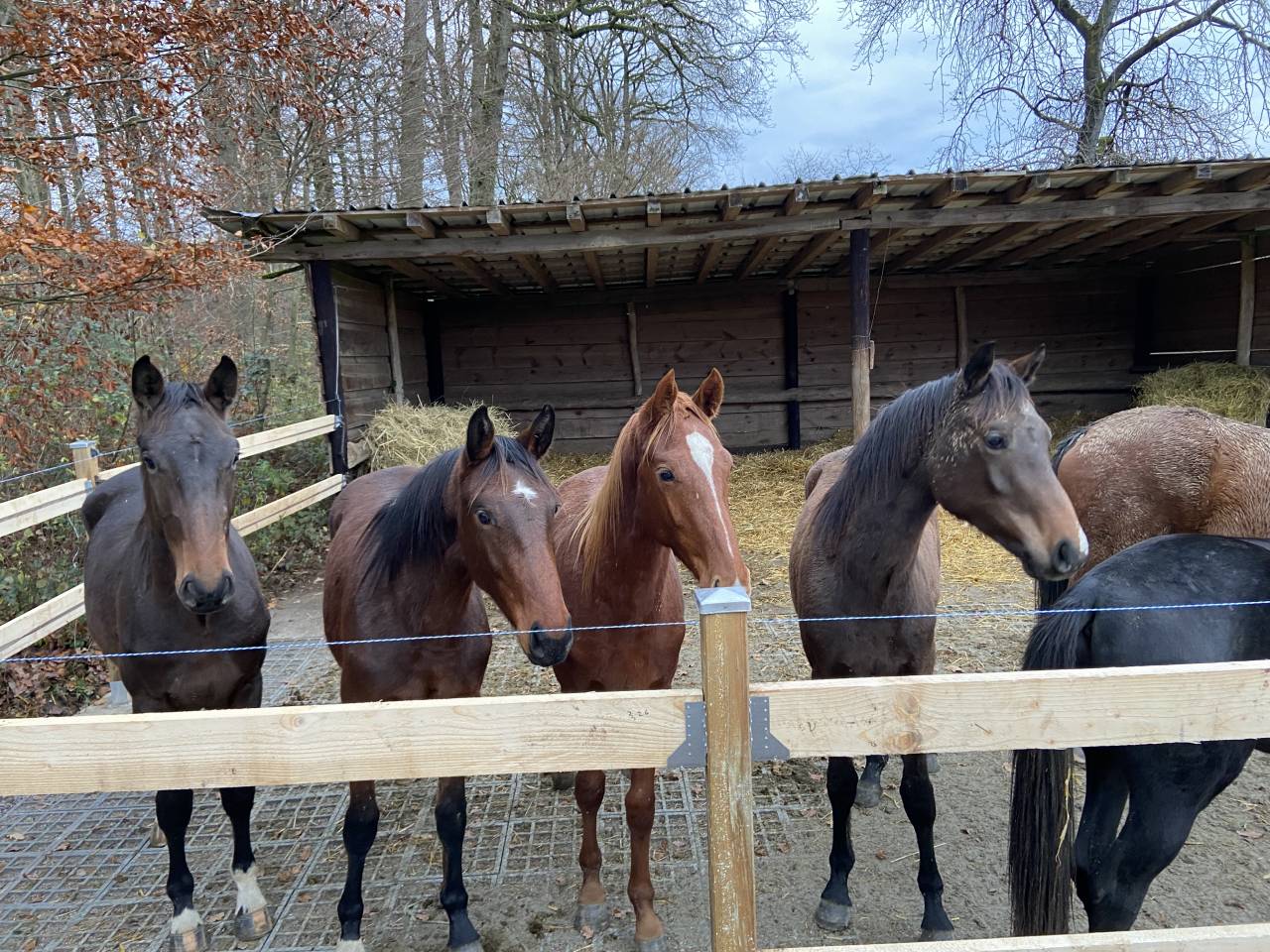 Rejoignez notre équipe !