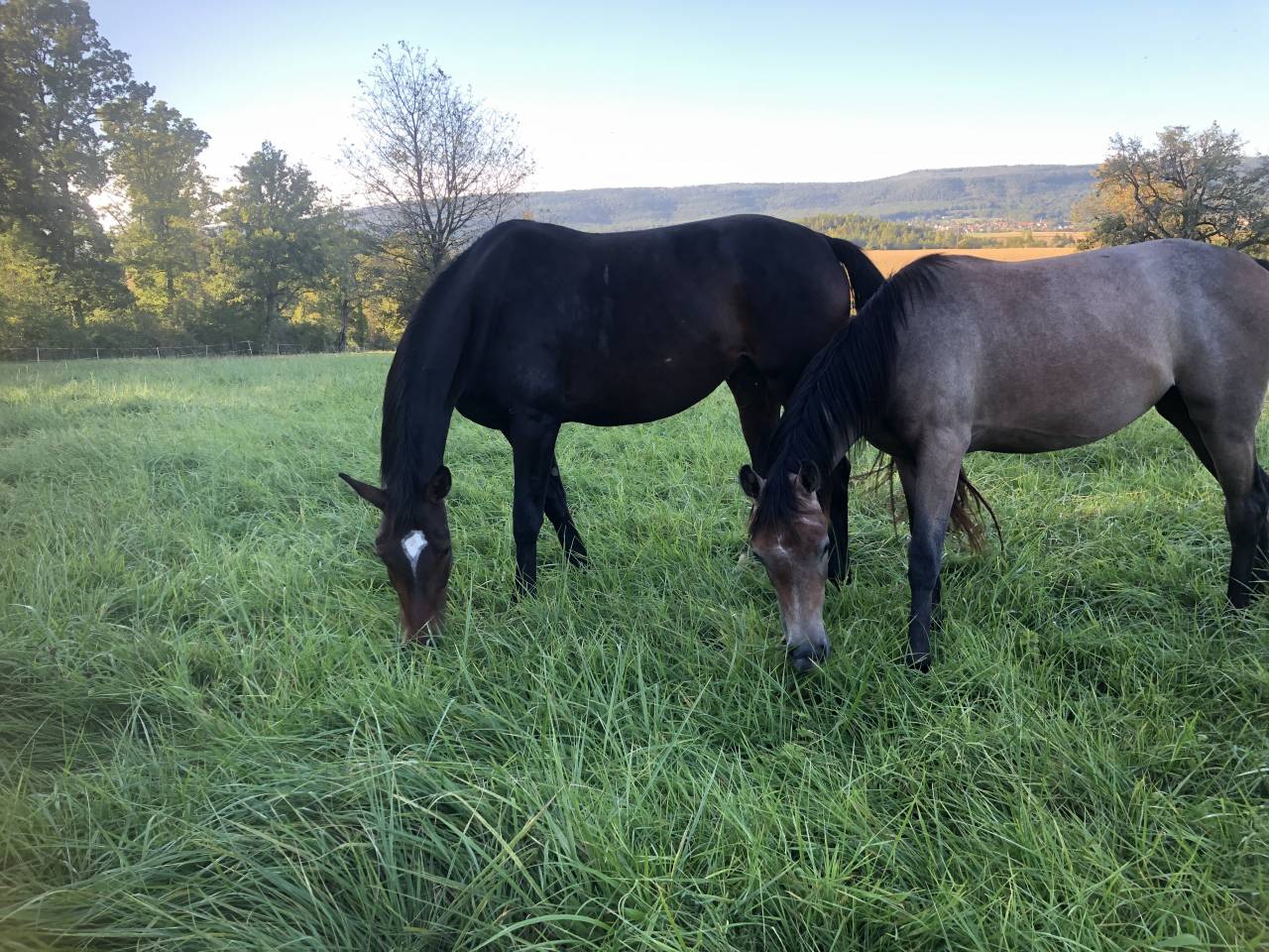 Rejoignez notre équipe !