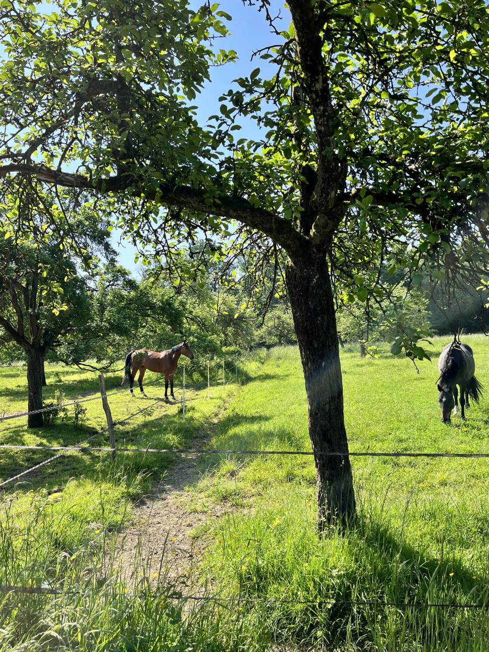 Rejoignez notre équipe !