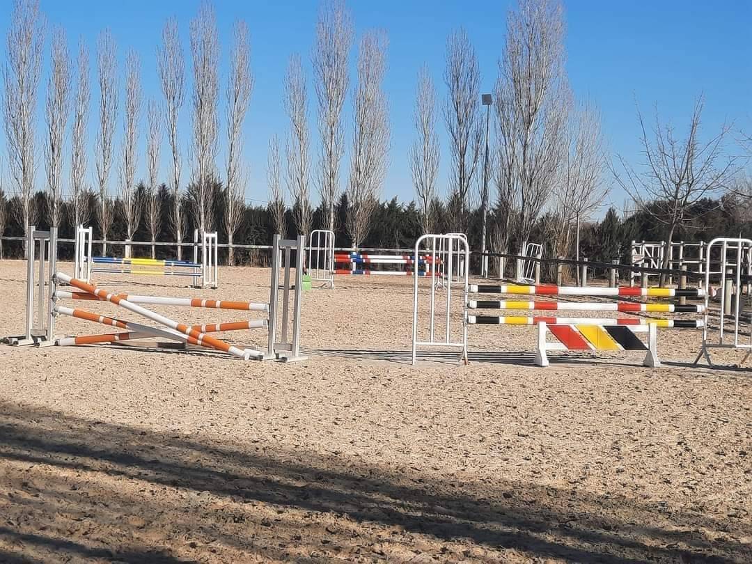 PENSIONS Prés, Paddocks,Retraite, Box...es