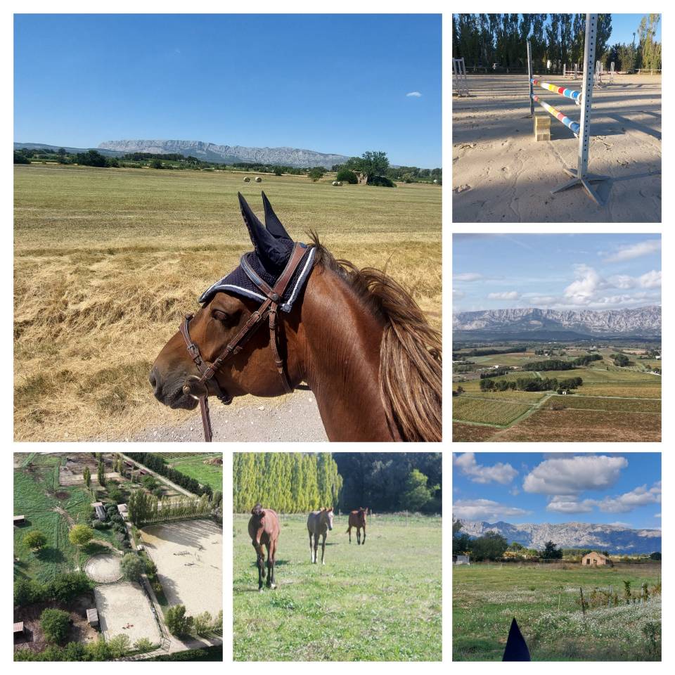 PENSIONS Prés, Paddocks,Retraite, Box...es