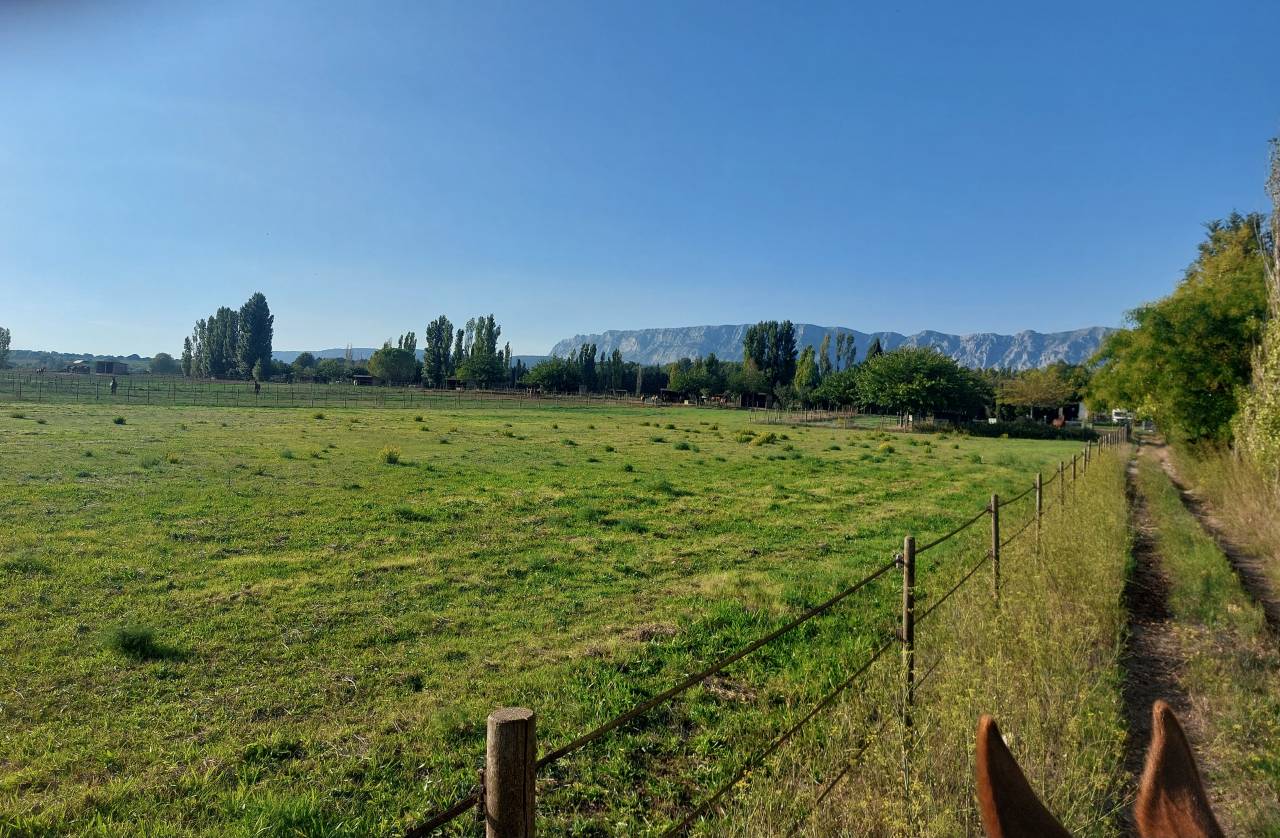 PENSIONS Prés, Paddocks,Retraite, Box...es