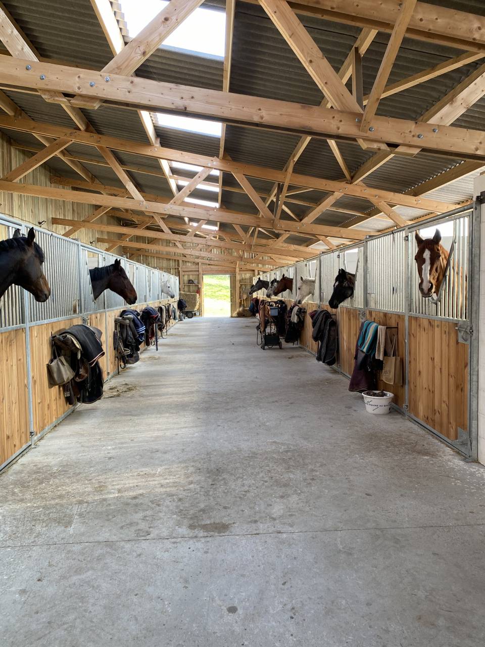 ECURIES DE CHAMBORET - Pension chevaux (87)