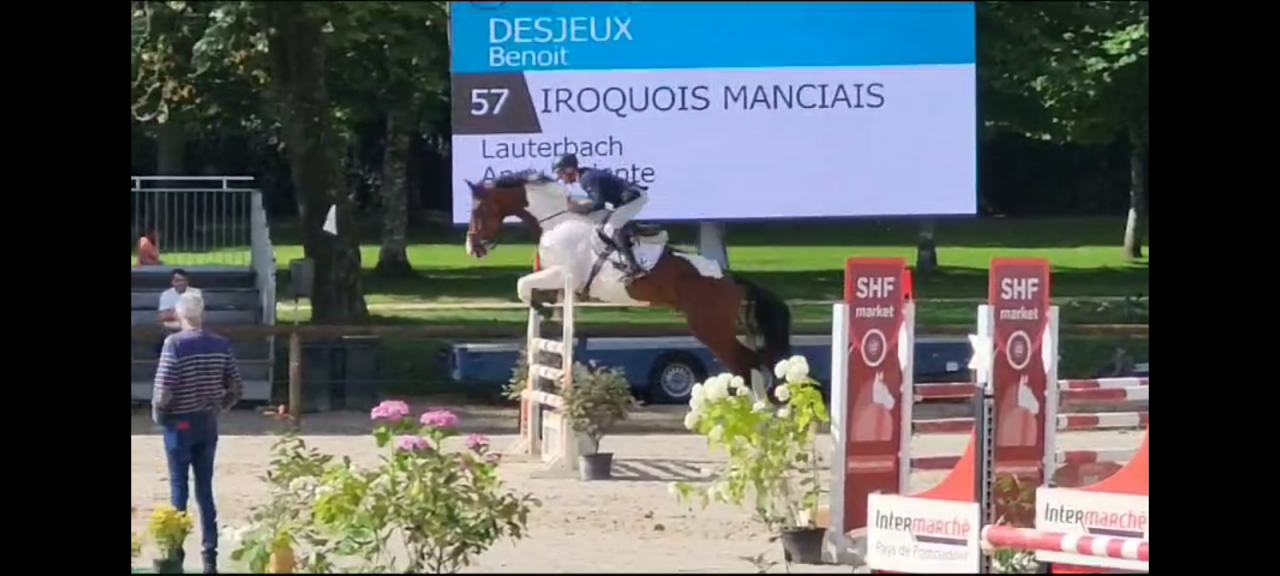 Écurie valorisation jeunes chevaux 