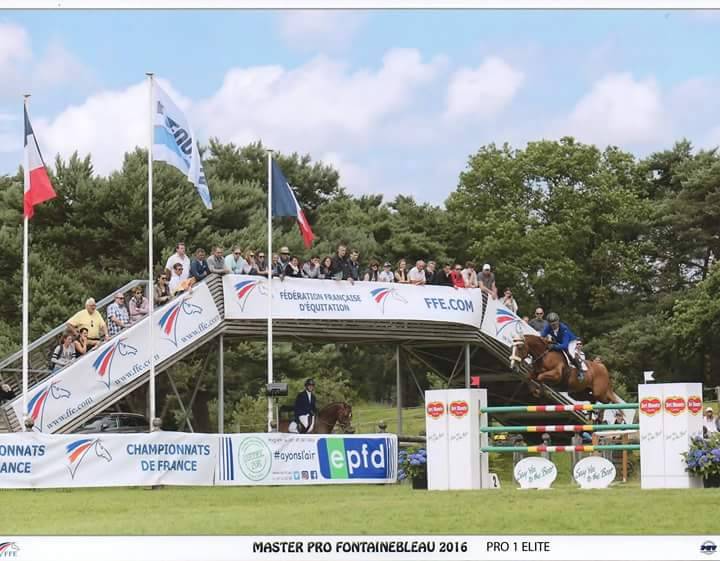 Écurie valorisation jeunes chevaux 