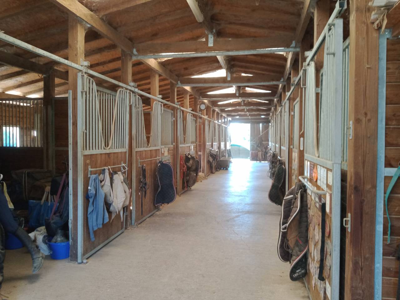 Écurie valorisation jeunes chevaux 