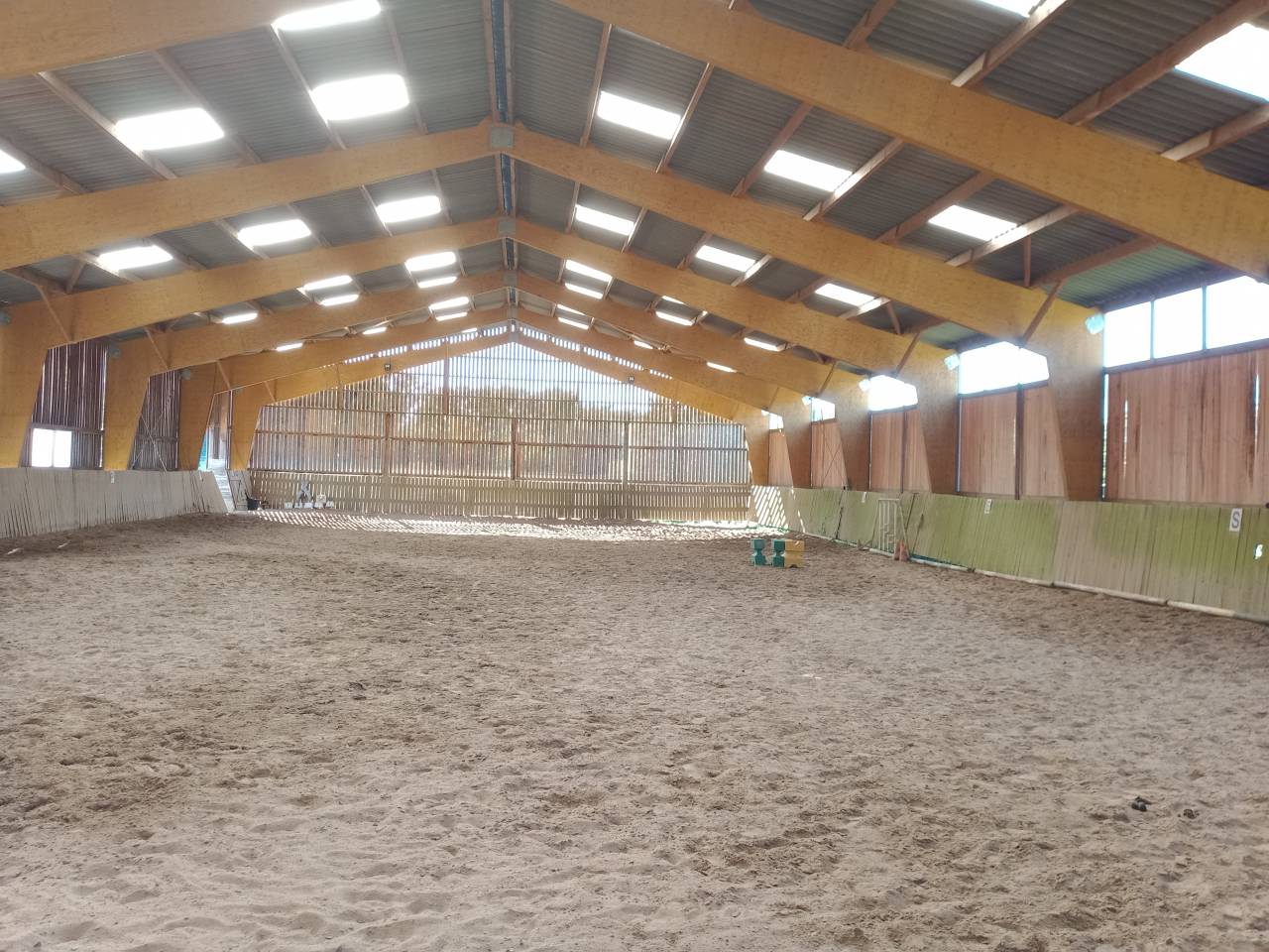 Écurie valorisation jeunes chevaux 