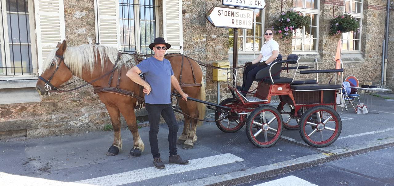 Pension Nature - Pension chevaux (77)