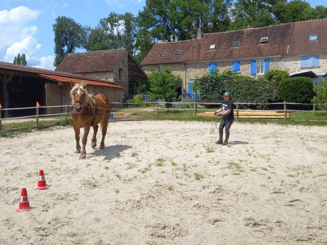 Pension Nature - Pension chevaux (77)
