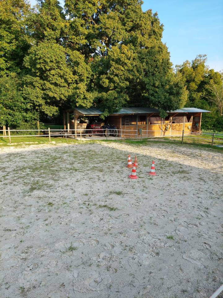 Pension Nature - Pension chevaux (77)