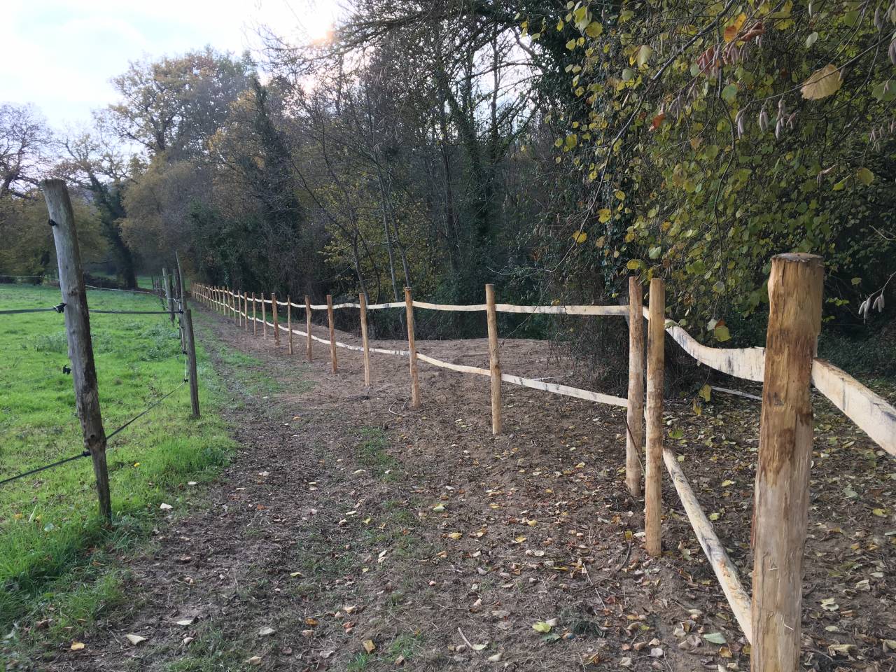 Pension chevaux, retrait&eacute;s, cavaliers d'ext&eacute;rieurs,