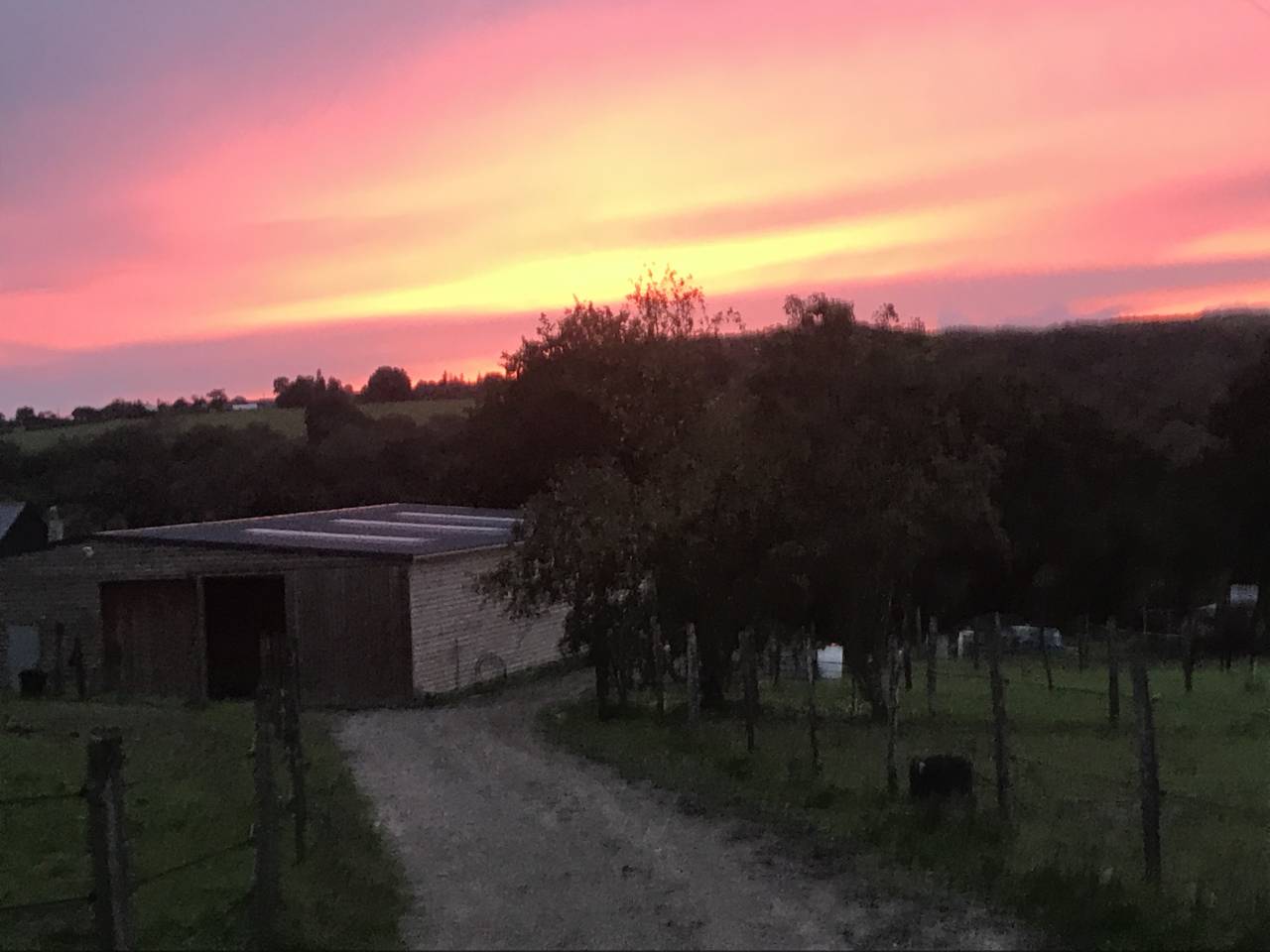 Pension chevaux, retrait&eacute;s, cavaliers d'ext&eacute;rieurs,
