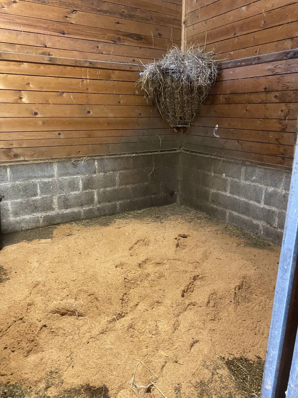 Pension MJstables - Ecurie de propriétaires (14)