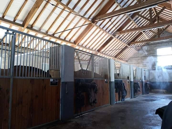 Pension Box/Pr&eacute;/Terrasse - Ecuries de Fontaines (41)