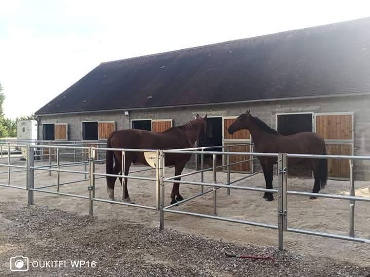 Pension Box/Pr&eacute;/Terrasse - Ecuries de Fontaines (41)