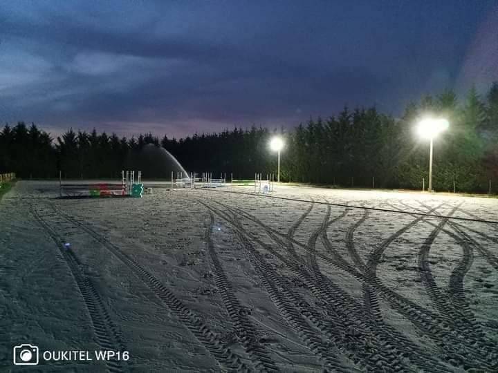 Pension Box/Pr&eacute;/Terrasse - Ecuries de Fontaines (41)