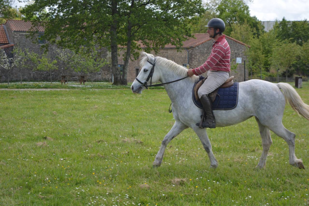 PONETTE PAR IDEFiX DU VILLON