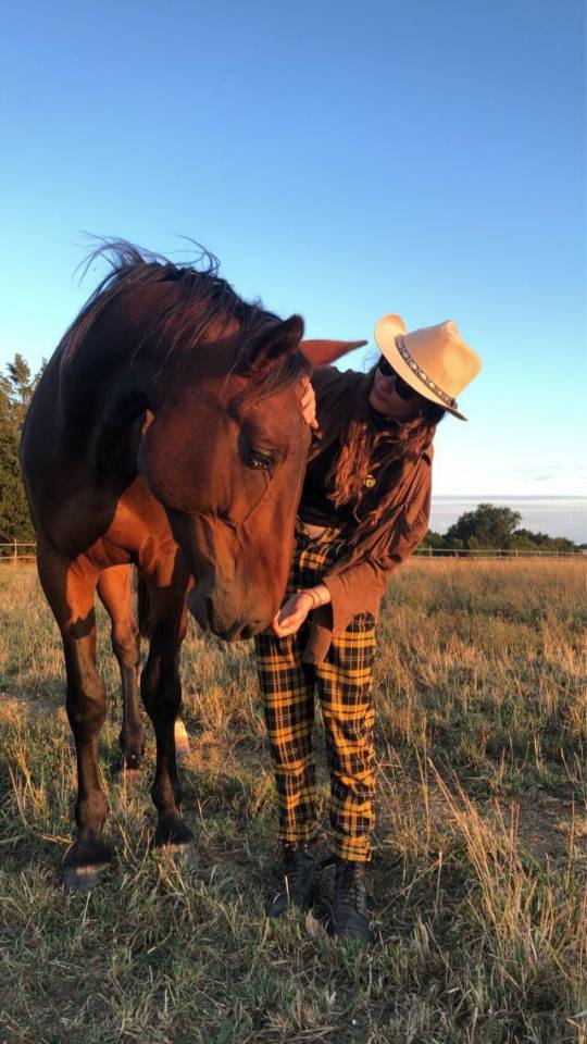 Stage en ferme équestre