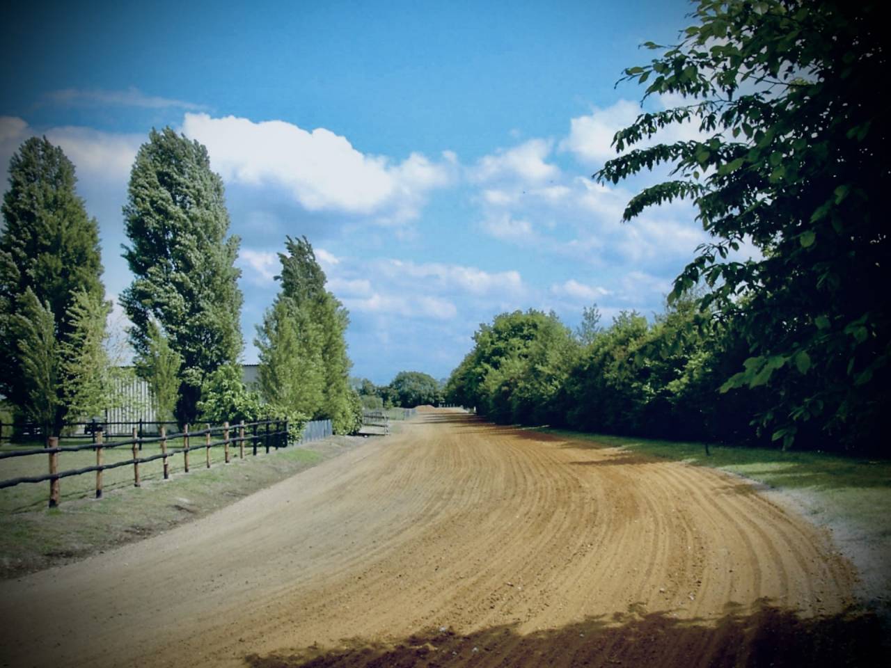 Ecurie de dressage - Roussel Dressage Horse (72)