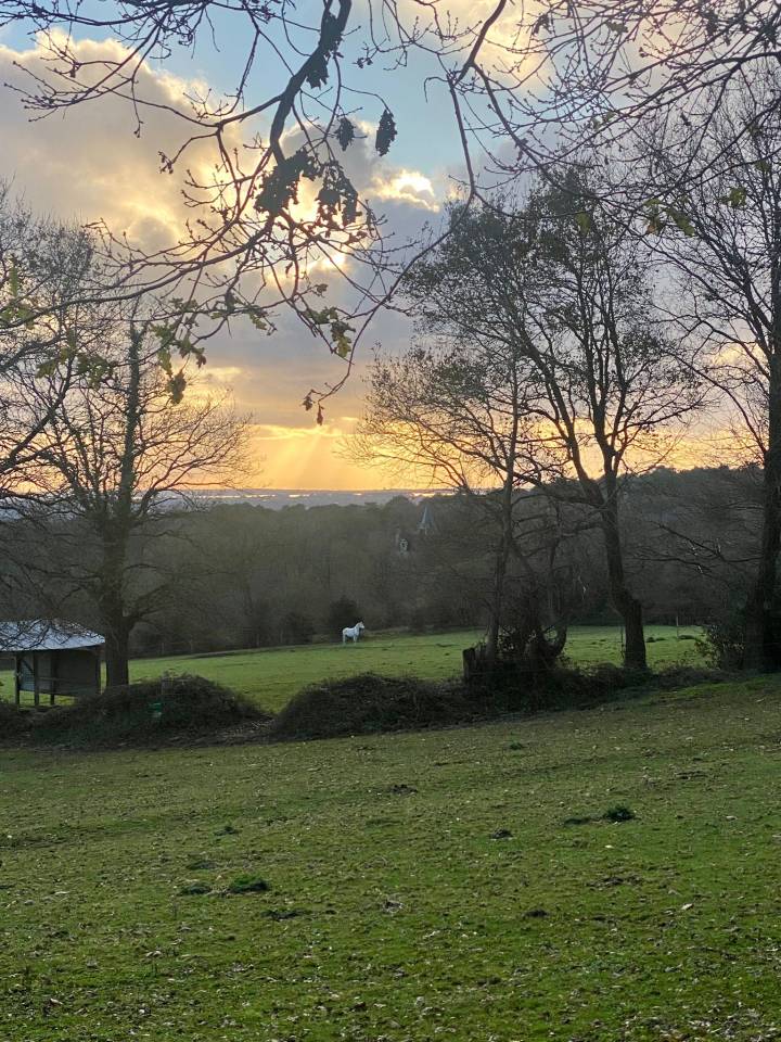 Pension chevaux - Ecurie Elodie Clero (56 - 	Trefflean)