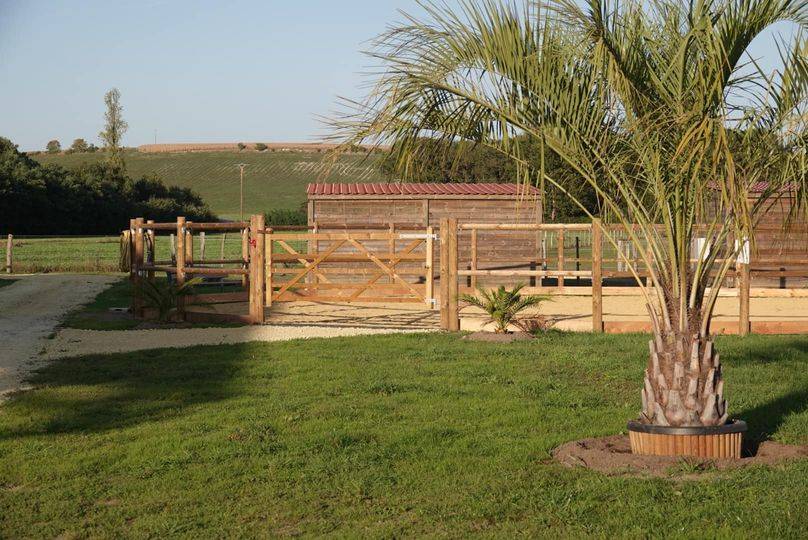 Pension chevaux - Ecurie du moulin (37 - Chaveignes)