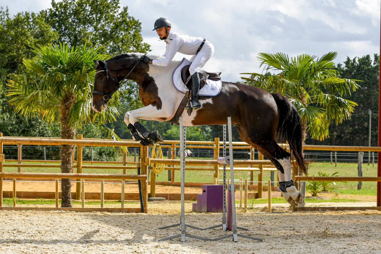 Pension chevaux - Ecurie du moulin (37 - Chaveignes)