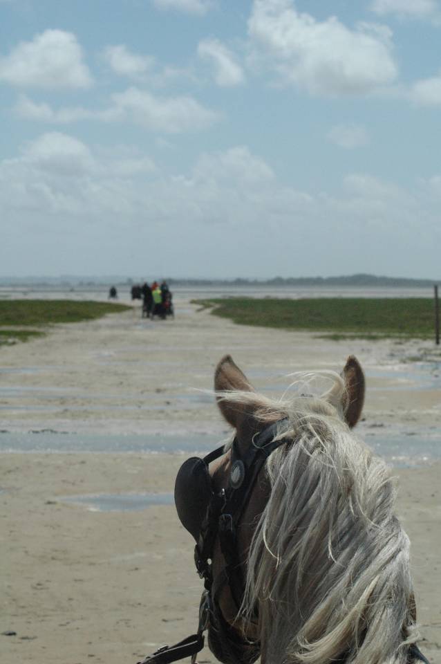 Maison vue sur Baie de Somme