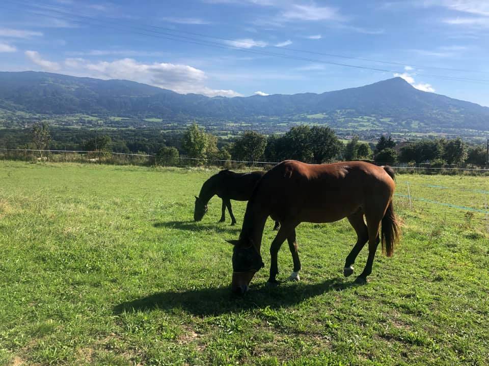 Place libre, Ecurie de la Colline