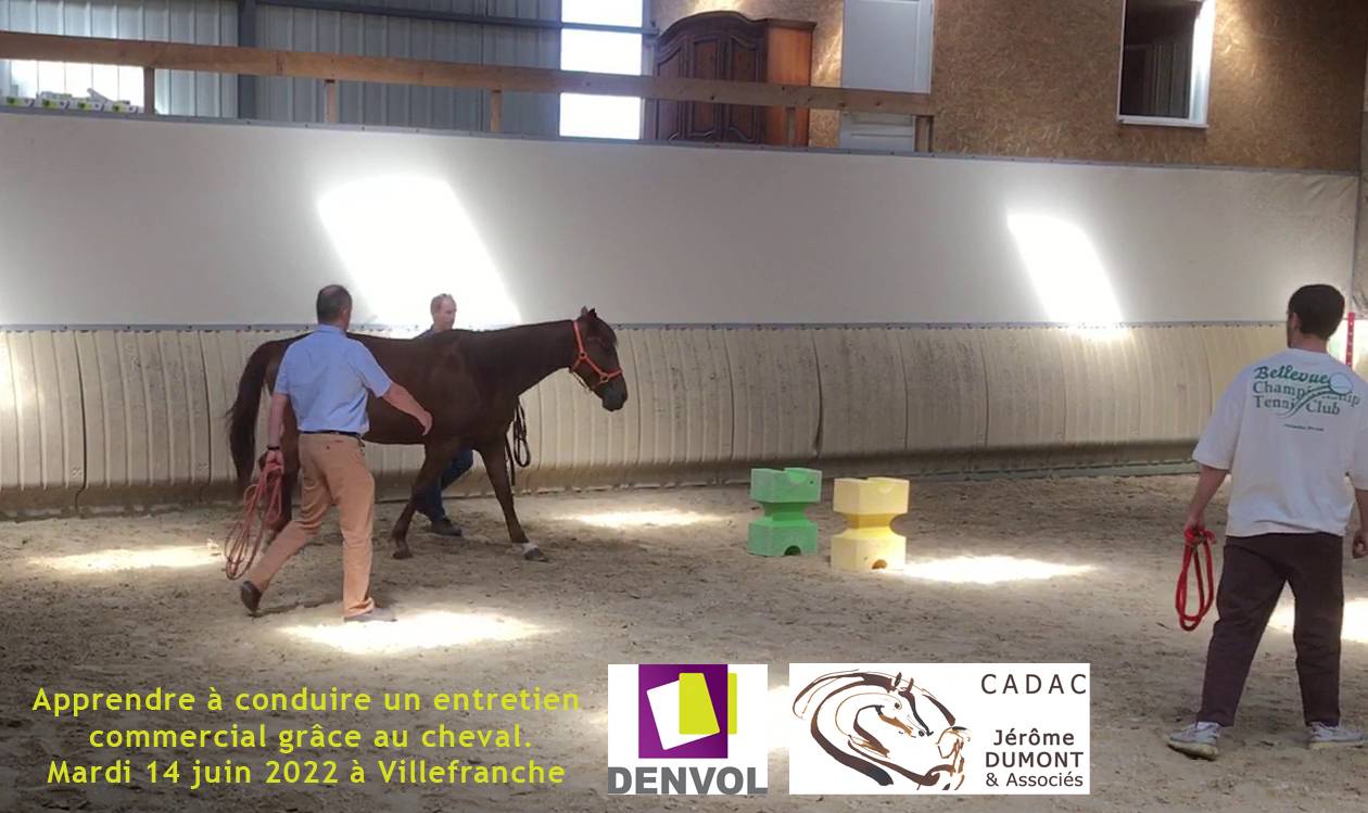 Formation Equicoaching : Devenir Equicoach