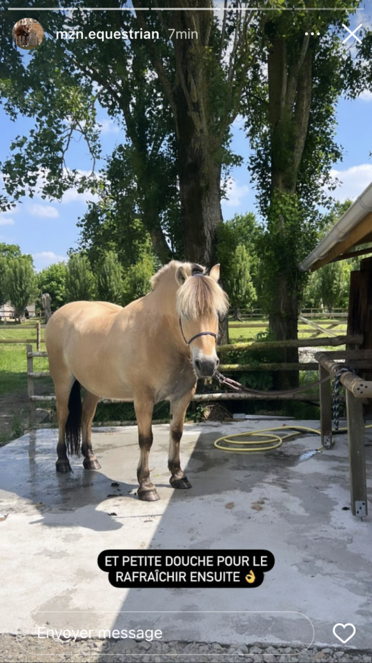 Pension 100% pr&eacute; chevaux /poneys 