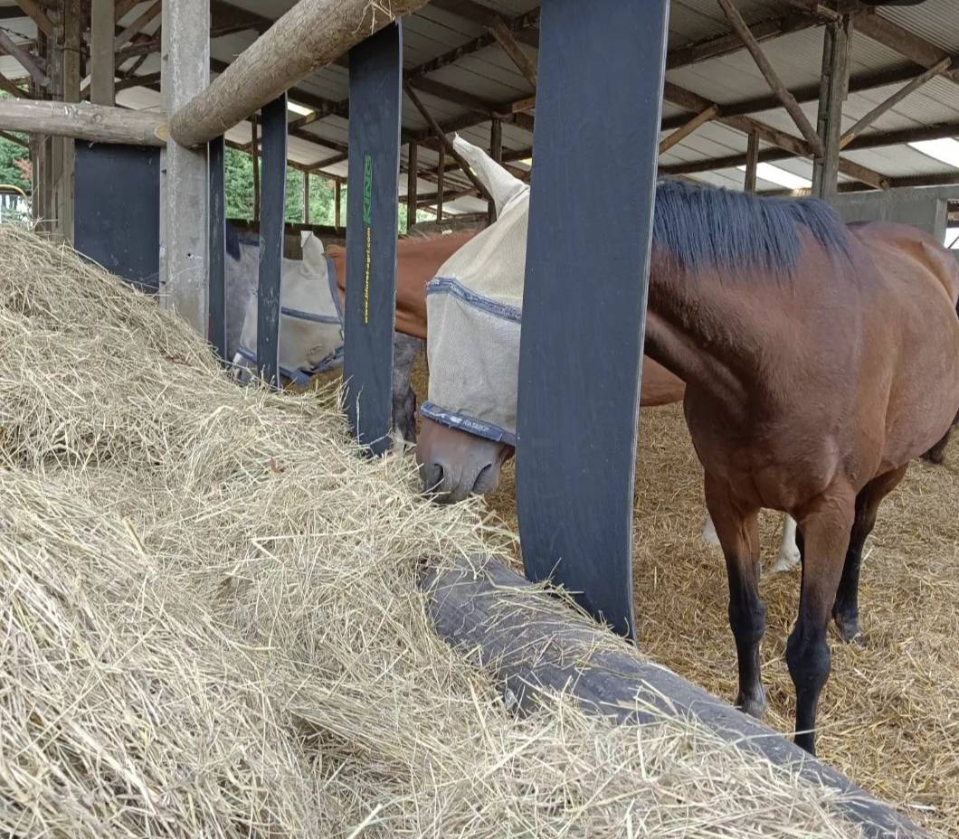 PENSION RETRAITE CHEVAUX/PONEY - Horse Lib (44 - Heric)