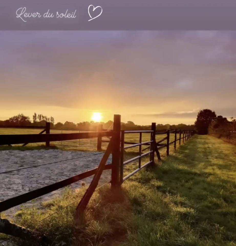 PENSION RETRAITE CHEVAUX/PONEY - Horse Lib (44 - Heric)