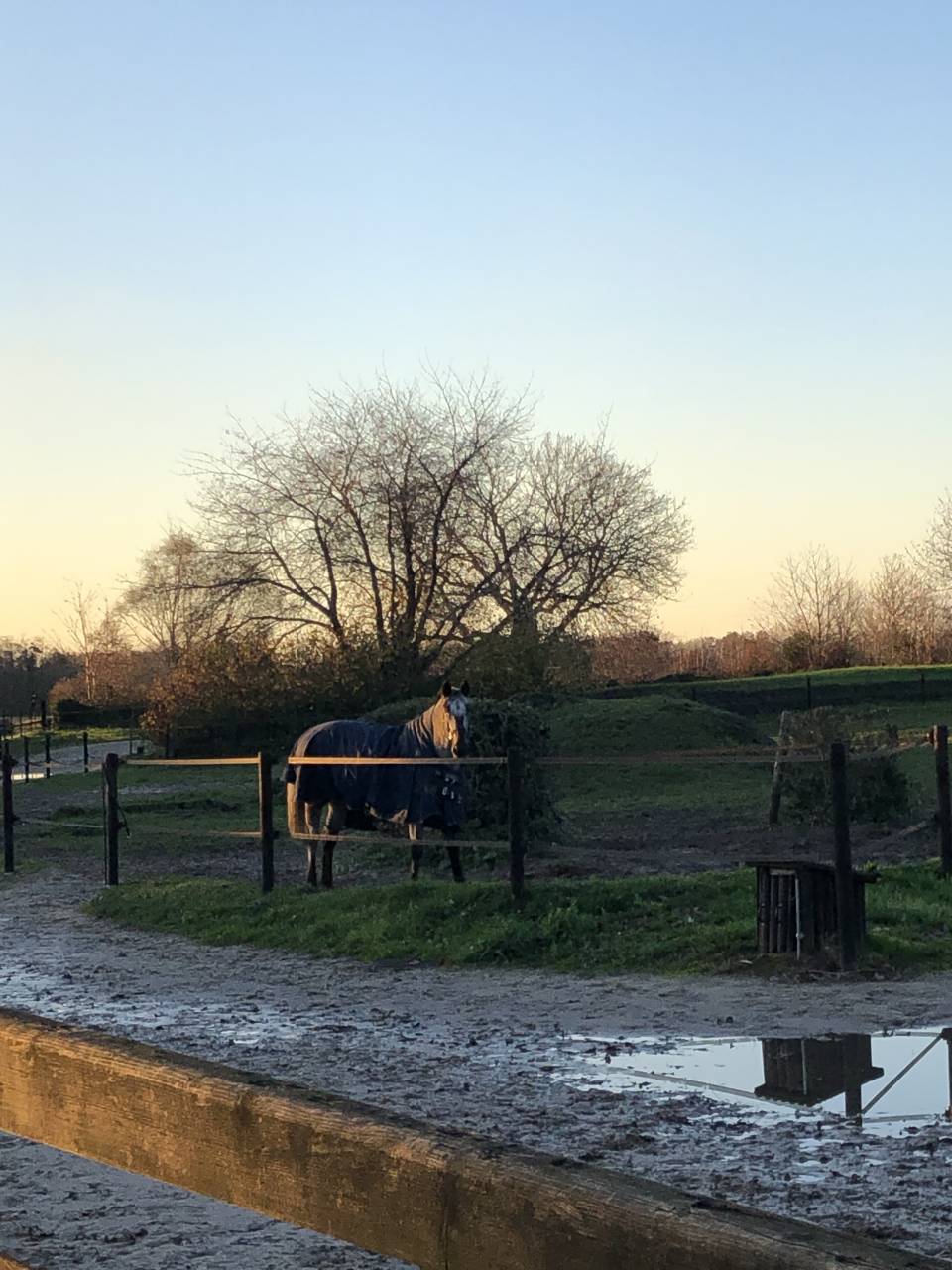 Boxes disponibles au CESAB (91) !!