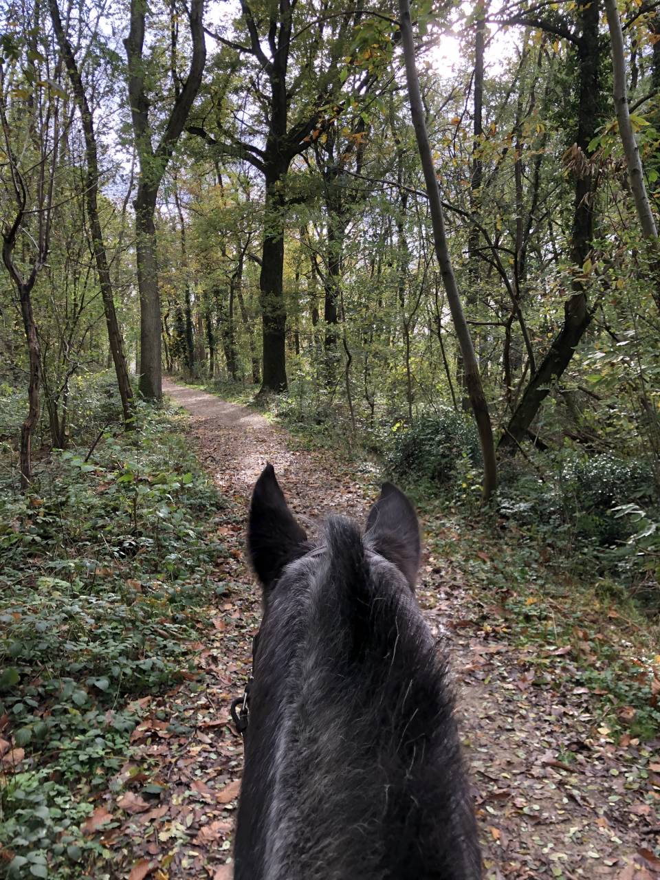 Boxes disponibles au CESAB (91) !!