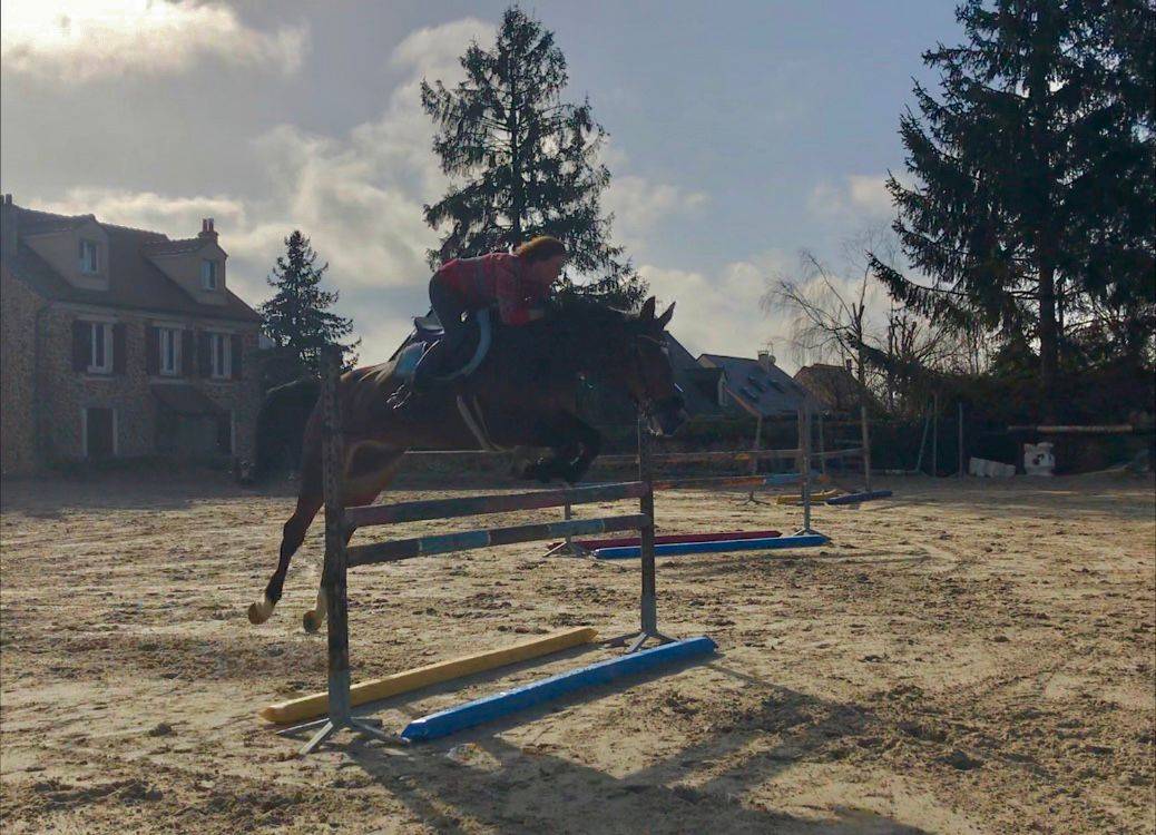 Boxes disponibles au CESAB (91) !!