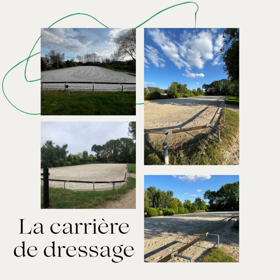 Boxes disponibles au CESAB (91) !!