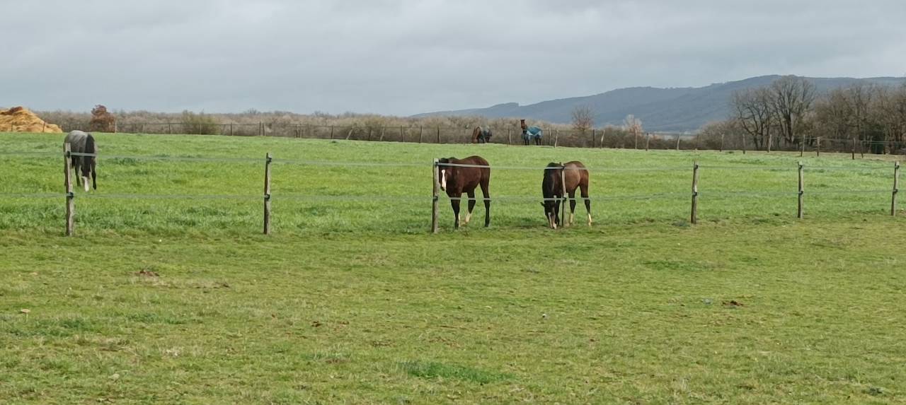 Pension entre Revel et Castelnaudary