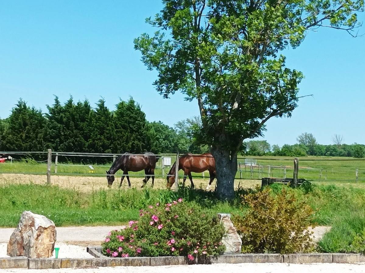 Pension entre Revel et Castelnaudary