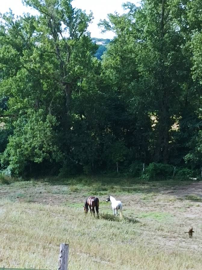 Pension entre Revel et Castelnaudary