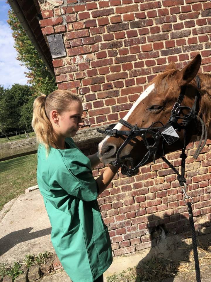 Flore Lefevre Technicien dentaire équin 