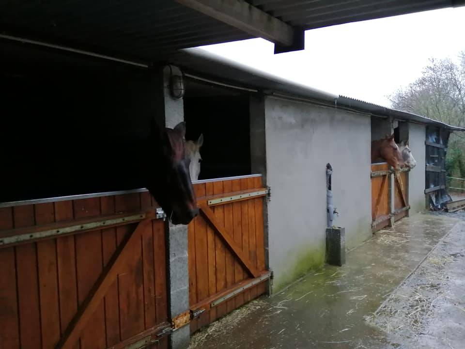 pension chevaux top qualit&eacute;