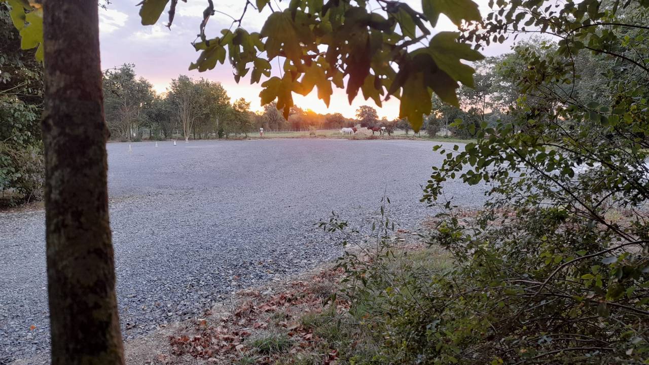 pension chevaux top qualit&eacute;