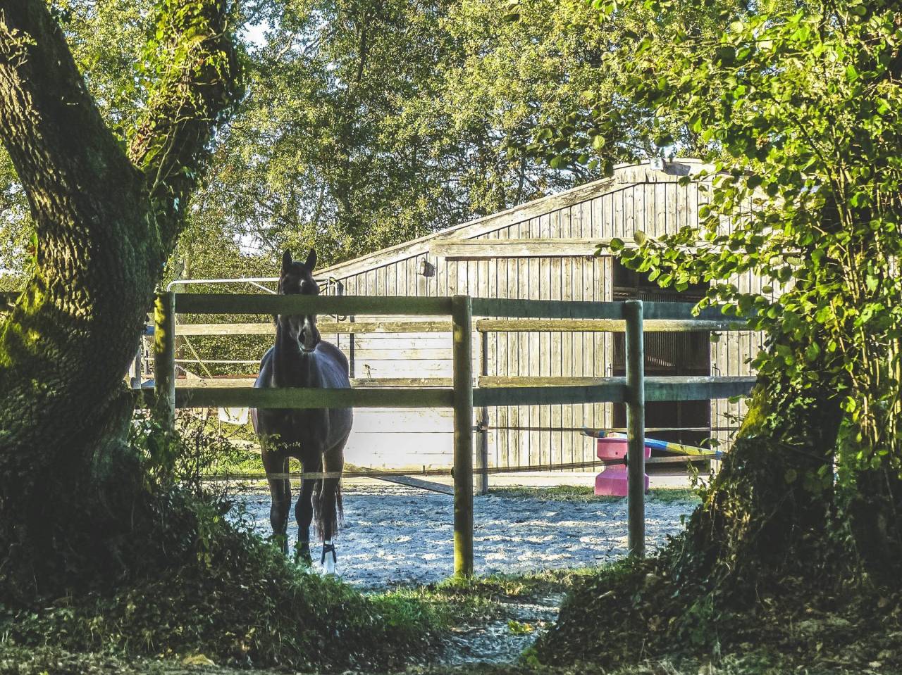 Pension Box / Paddock pr&egrave;s de Nantes, Saint Nazaire