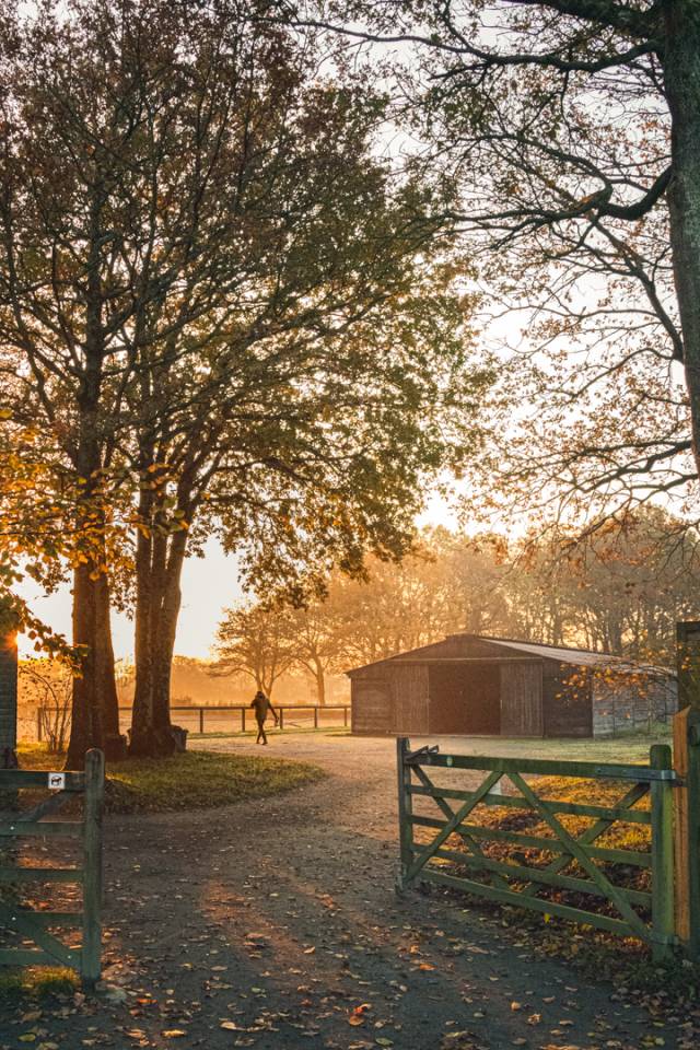 Pension Box / Paddock pr&egrave;s de Nantes, Saint Nazaire