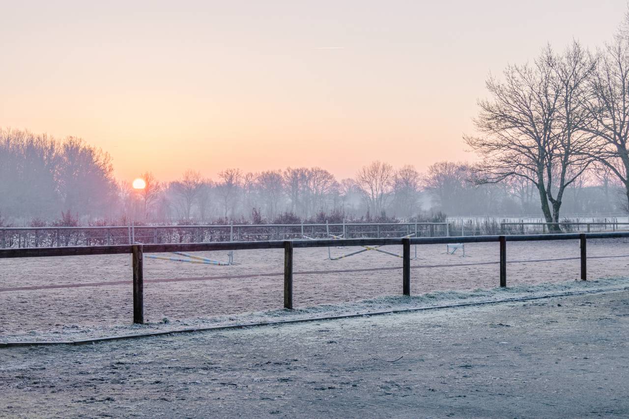 Pension Box / Paddock pr&egrave;s de Nantes, Saint Nazaire