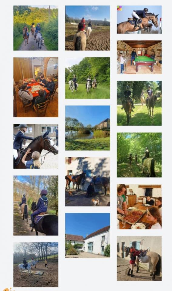 Stages Anglais Poney en France chez les Gateau Stables 