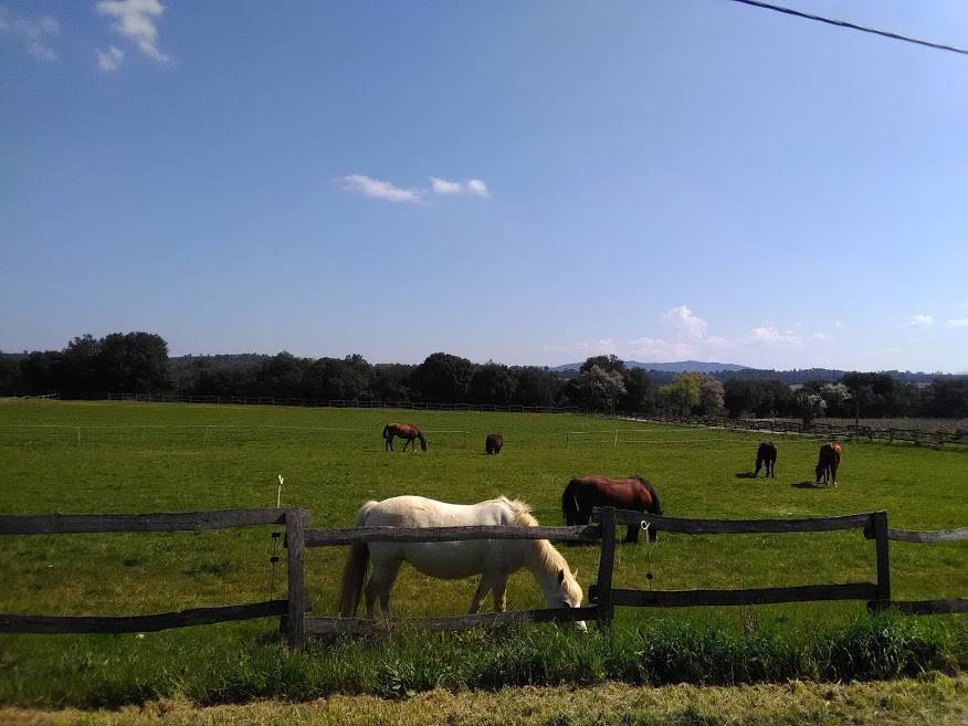 Ecurie de Collombe (83119)