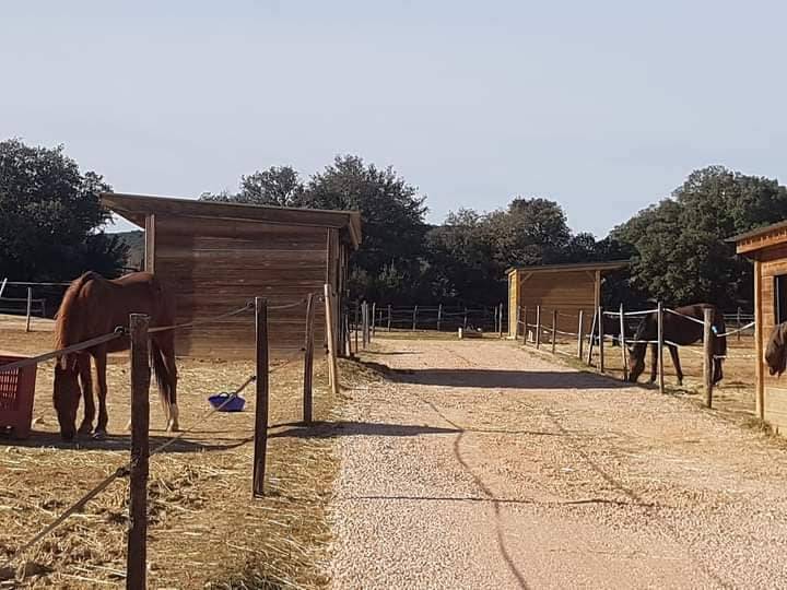 Ecurie de Collombe (83119)